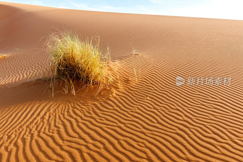 在Erg Chebbi沙漠的沙子，Merzouga，摩洛哥，北非